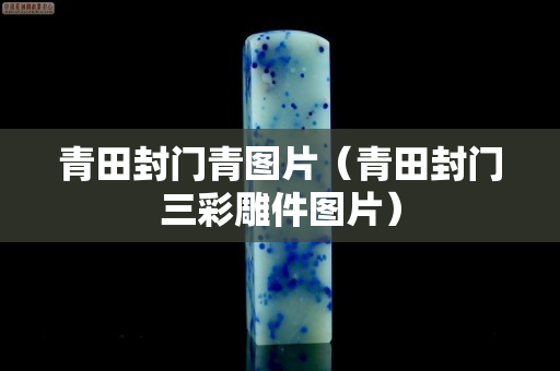 青田封门青图片（青田封门三彩雕件图片）