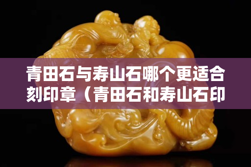 青田石与寿山石哪个更适合刻印章（青田石和寿山石印章哪个好）