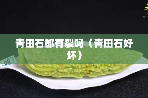 青田石都有裂吗（青田石好坏）