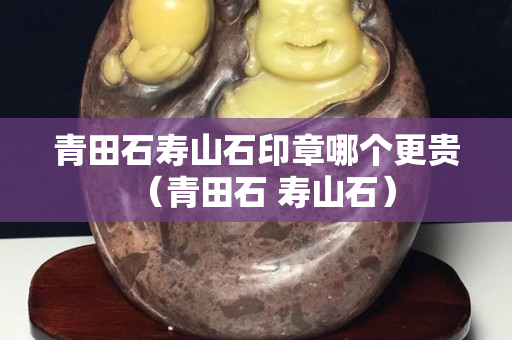 青田石寿山石印章哪个更贵（青田石 寿山石）