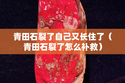 青田石裂了自己又长住了（青田石裂了怎么补救）