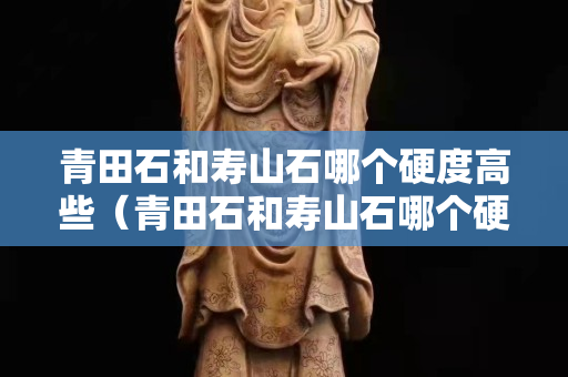青田石和寿山石哪个硬度高些（青田石和寿山石哪个硬度高些呢）