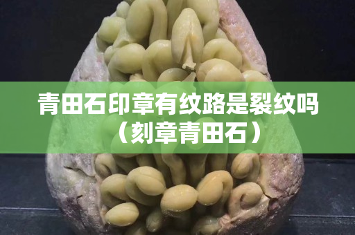 青田石印章有纹路是裂纹吗（刻章青田石）