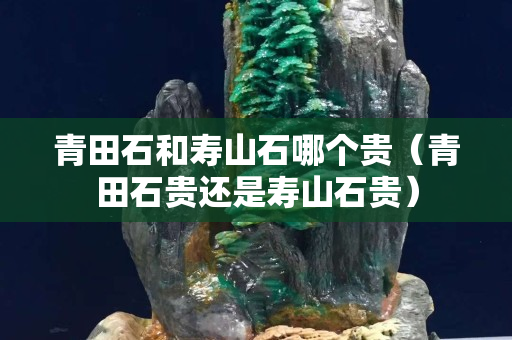 青田石和寿山石哪个贵（青田石贵还是寿山石贵）