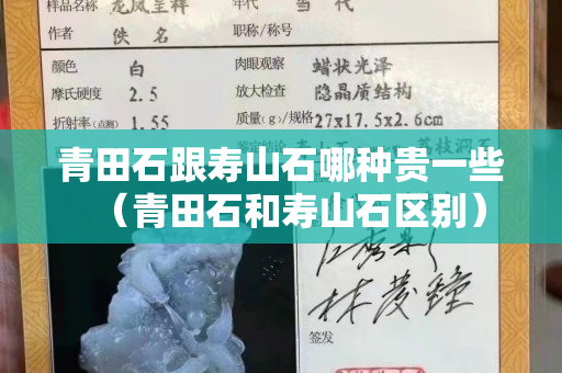 青田石跟寿山石哪种贵一些（青田石和寿山石区别）