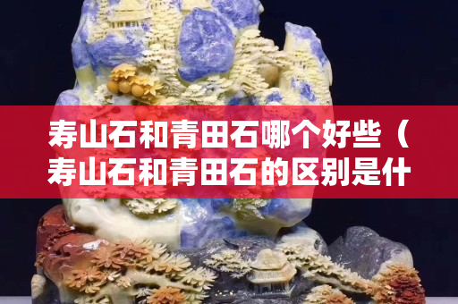 寿山石和青田石哪个好些（寿山石和青田石的区别是什么？）