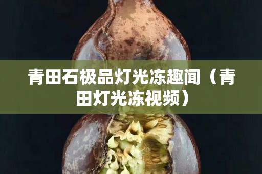 青田石极品灯光冻趣闻（青田灯光冻视频）