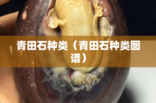 青田石种类（青田石种类图谱）