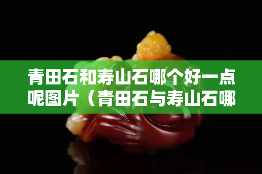 青田石和寿山石哪个好一点呢图片（青田石与寿山石哪个好）