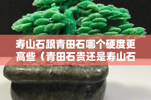 寿山石跟青田石哪个硬度更高些（青田石贵还是寿山石贵）