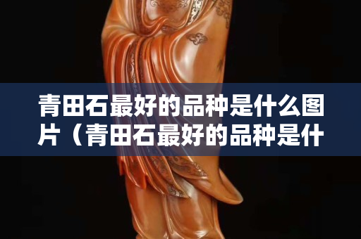 青田石最好的品种是什么图片（青田石最好的品种是什么图片和价格）