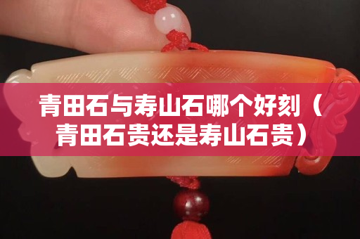 青田石与寿山石哪个好刻（青田石贵还是寿山石贵）