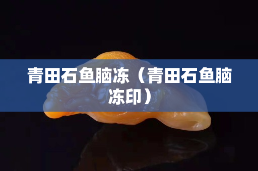 青田石鱼脑冻（青田石鱼脑冻印）