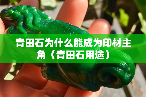 青田石为什么能成为印材主角（青田石用途）