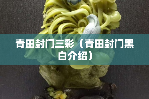 青田封门三彩（青田封门黑白介绍）