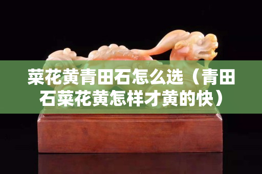 菜花黄青田石怎么选（青田石菜花黄怎样才黄的快）