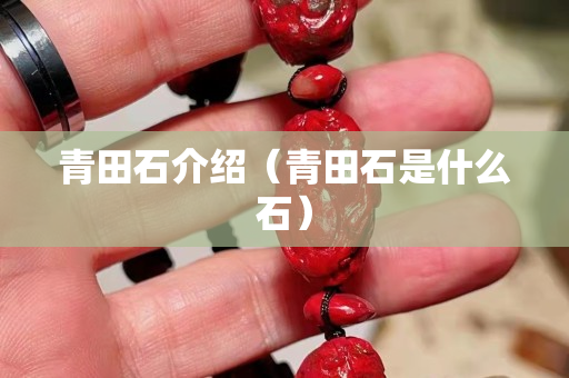 青田石介绍（青田石是什么石）
