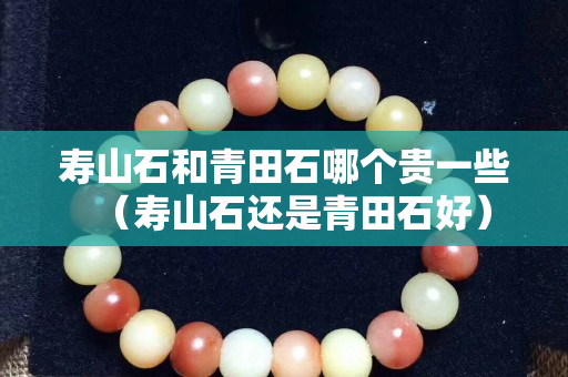 寿山石和青田石哪个贵一些（寿山石还是青田石好）