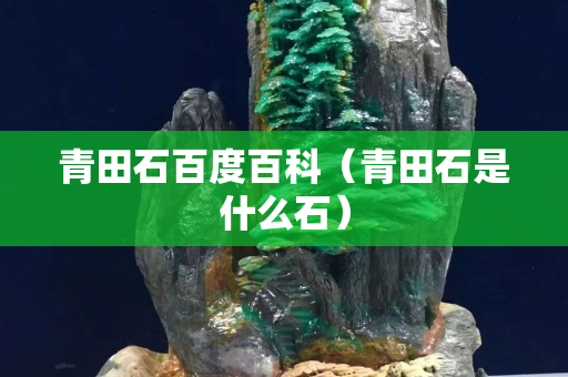 青田石百度百科（青田石是什么石）