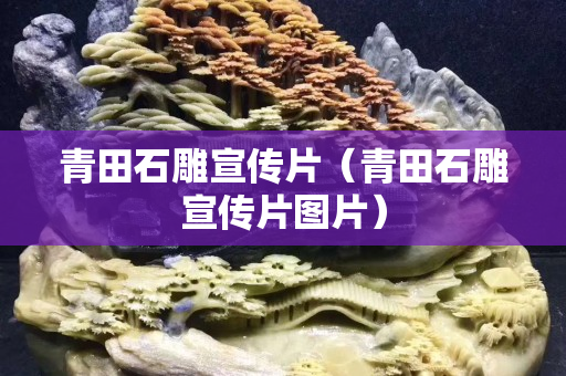 青田石雕宣传片（青田石雕宣传片图片）