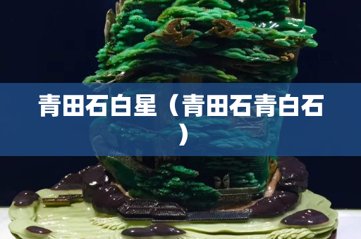 青田石白星（青田石青白石）
