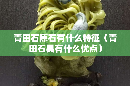 青田石原石有什么特征（青田石具有什么优点）