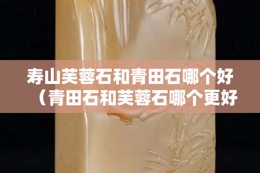 寿山芙蓉石和青田石哪个好（青田石和芙蓉石哪个更好）