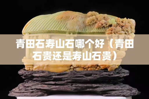 青田石寿山石哪个好（青田石贵还是寿山石贵）