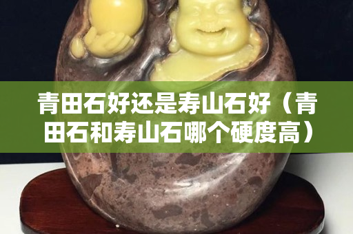 青田石好还是寿山石好（青田石和寿山石哪个硬度高）