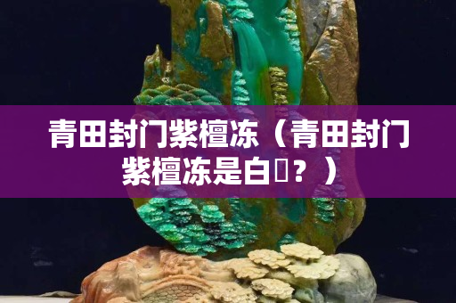 青田封门紫檀冻（青田封门紫檀冻是白垟？）