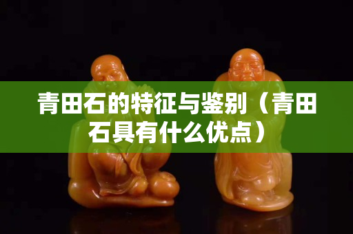 青田石的特征与鉴别（青田石具有什么优点）