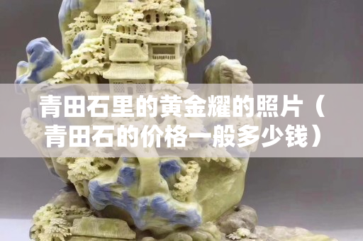 青田石里的黄金耀的照片（青田石的价格一般多少钱）