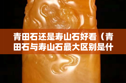青田石还是寿山石好看（青田石与寿山石最大区别是什么）