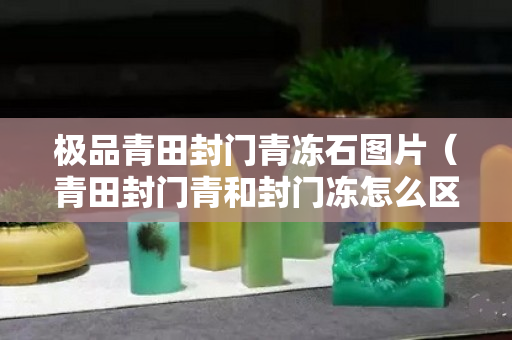 极品青田封门青冻石图片（青田封门青和封门冻怎么区分）