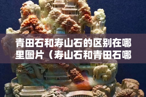 青田石和寿山石的区别在哪里图片（寿山石和青田石哪个更有收藏价值）