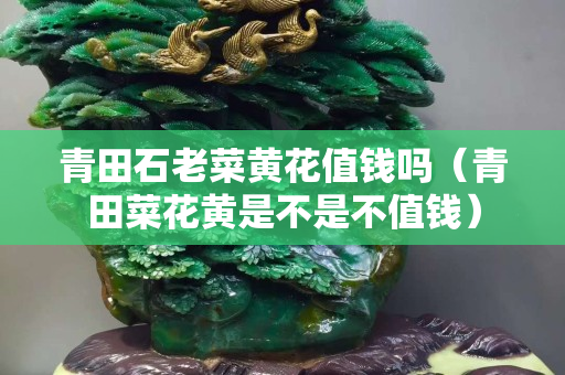 青田石老菜黄花值钱吗（青田菜花黄是不是不值钱）