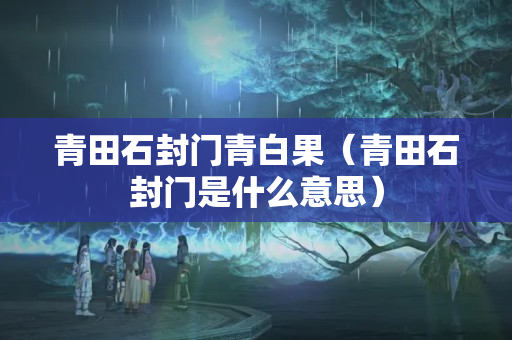 青田石封门青白果（青田石封门是什么意思）