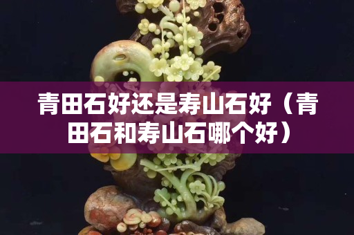 青田石好还是寿山石好（青田石和寿山石哪个好）