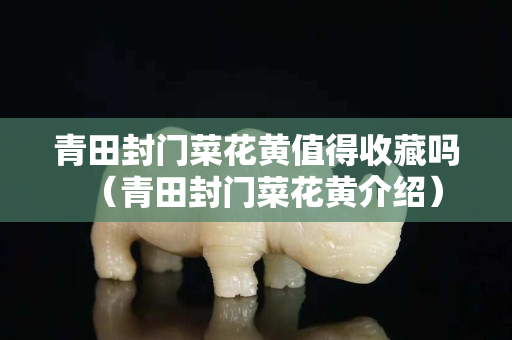 青田封门菜花黄值得收藏吗（青田封门菜花黄介绍）