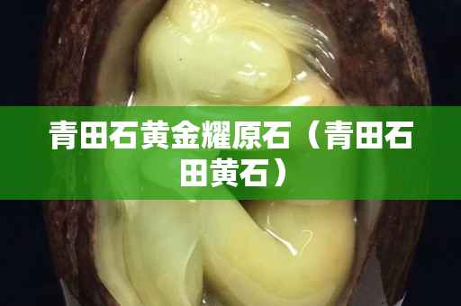 青田石黄金耀原石（青田石田黄石）