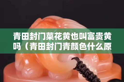 青田封门菜花黄也叫富贵黄吗（青田封门青颜色什么原因）