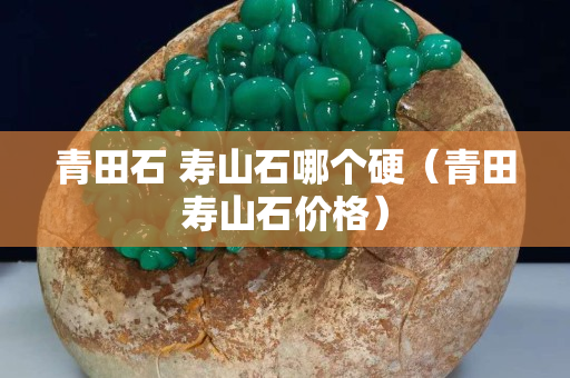 青田石 寿山石哪个硬（青田寿山石价格）