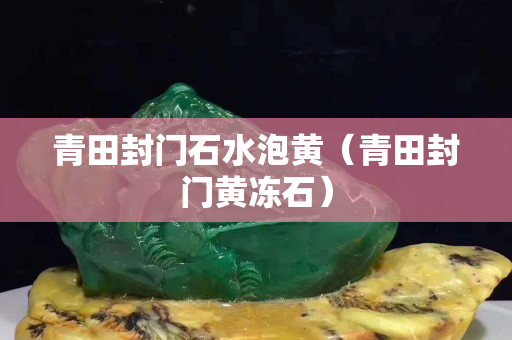 青田封门石水泡黄（青田封门黄冻石）