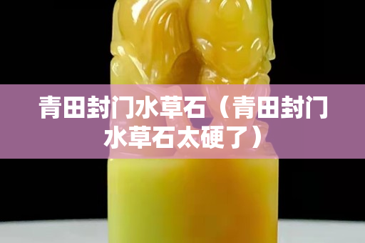 青田封门水草石（青田封门水草石太硬了）