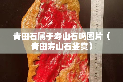 青田石属于寿山石吗图片（青田寿山石鉴赏）