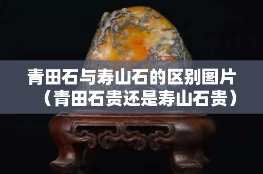 青田石与寿山石的区别图片（青田石贵还是寿山石贵）