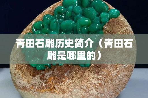 青田石雕历史简介（青田石雕是哪里的）