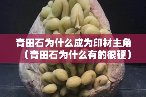 青田石为什么成为印材主角（青田石为什么有的很硬）
