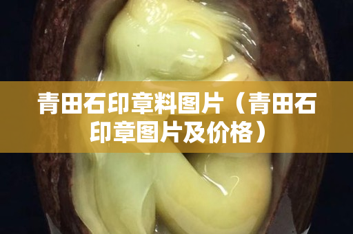 青田石印章料图片（青田石印章图片及价格）