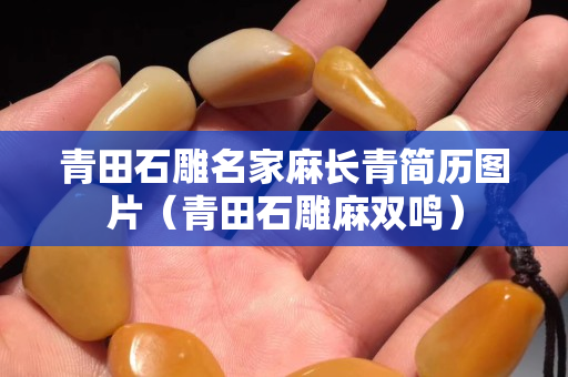 青田石雕名家麻长青简历图片（青田石雕麻双鸣）